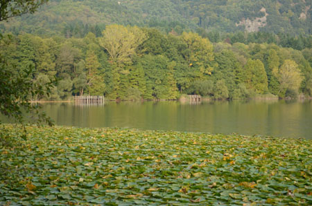 AndrianiTeresa_autunno_lago_grande_monticchio